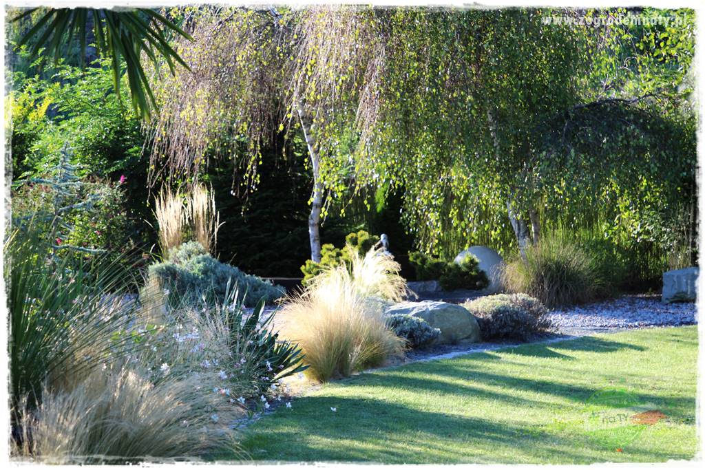 Egzotyczny ogród 429 Egzotyczny ogród 429