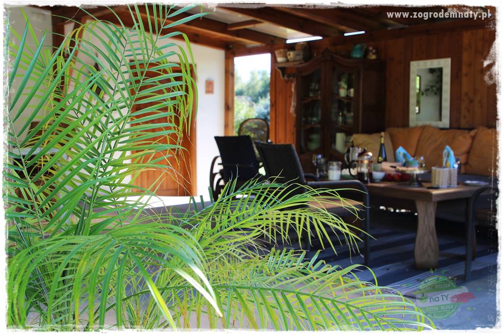 Egzotyczny ogród 43 Egzotyczny ogród 43