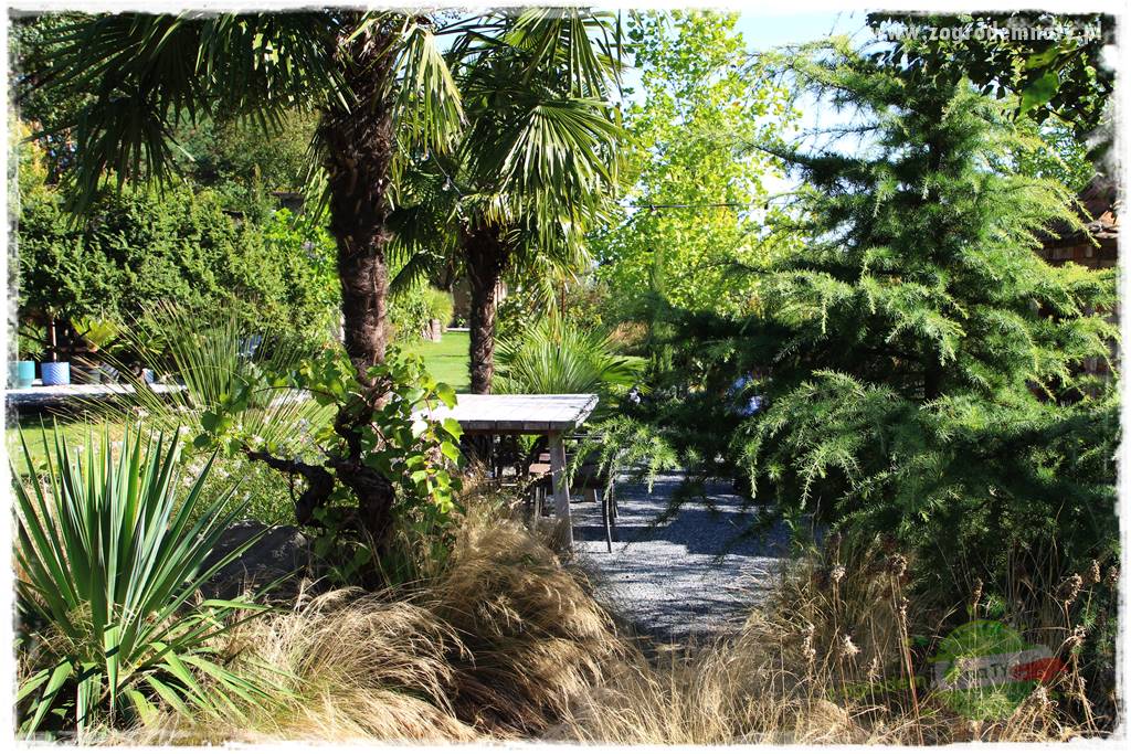 Egzotyczny ogród 430 Egzotyczny ogród 430