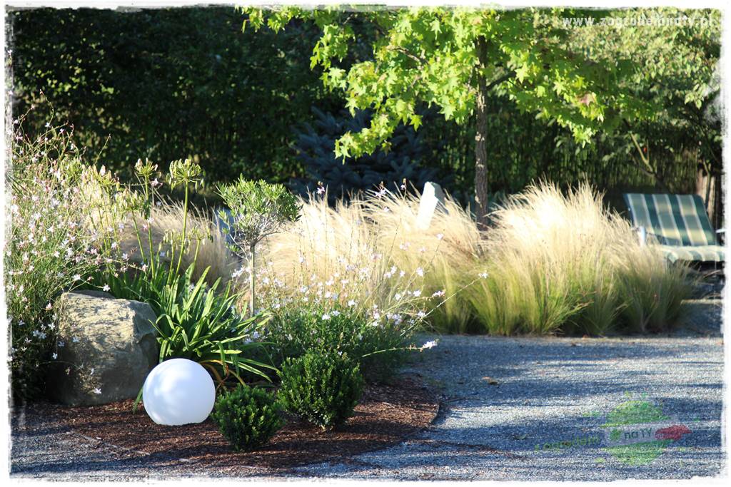 Egzotyczny ogród 433 Egzotyczny ogród 433