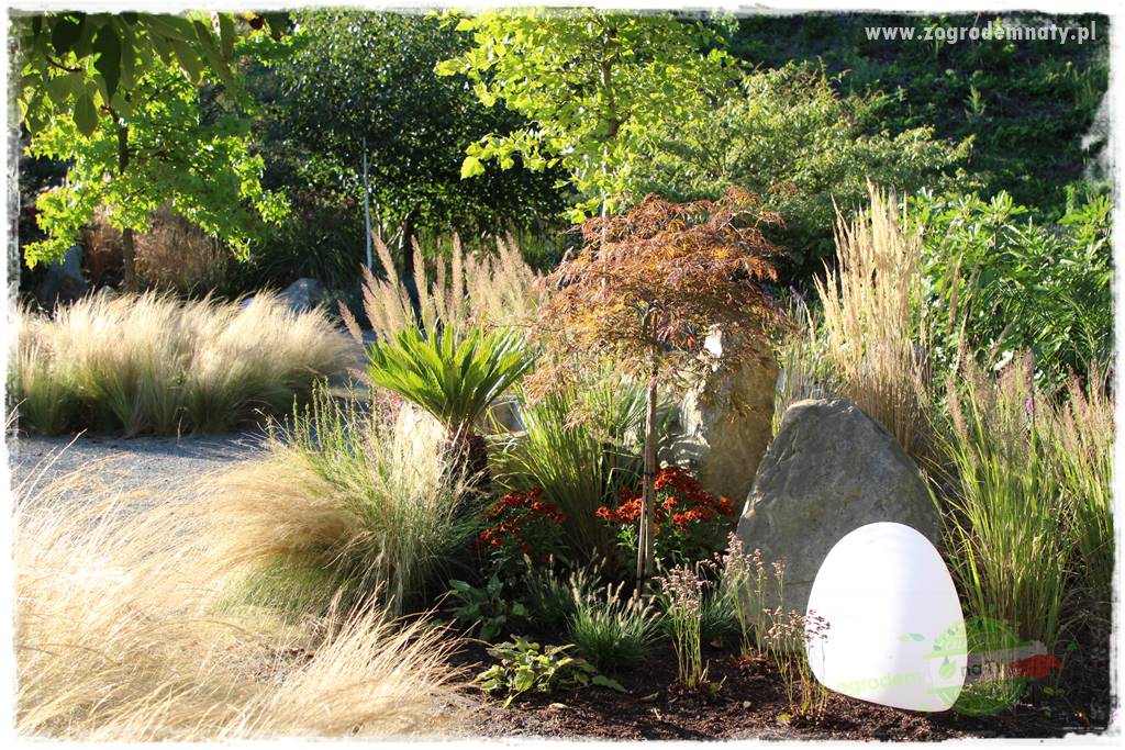 Egzotyczny ogród 435 Egzotyczny ogród 435