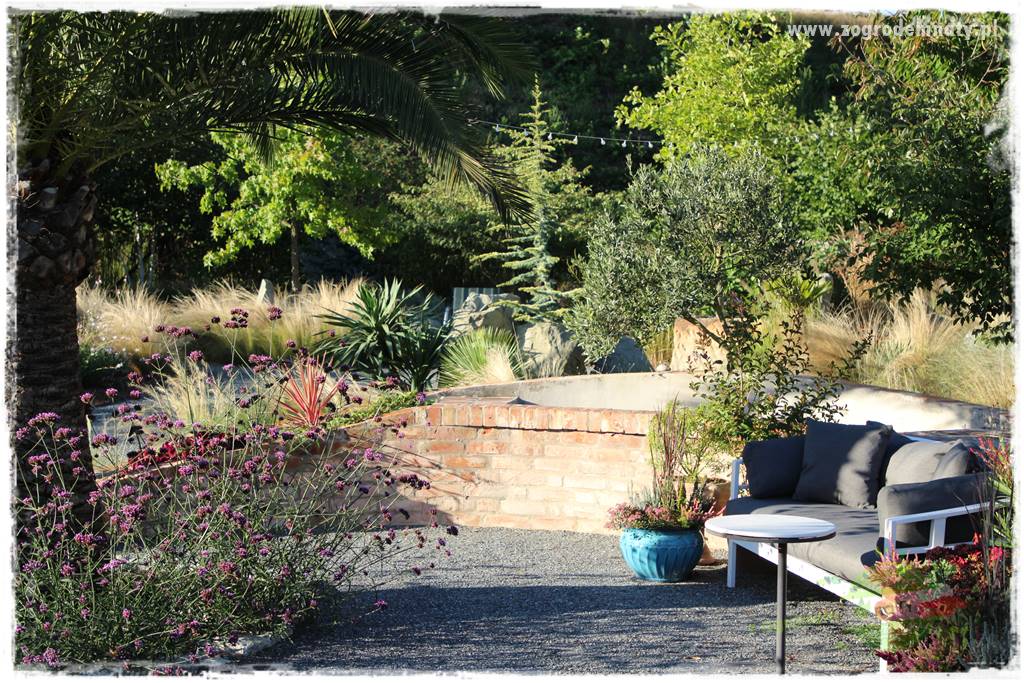 Egzotyczny ogród 436 Egzotyczny ogród 436