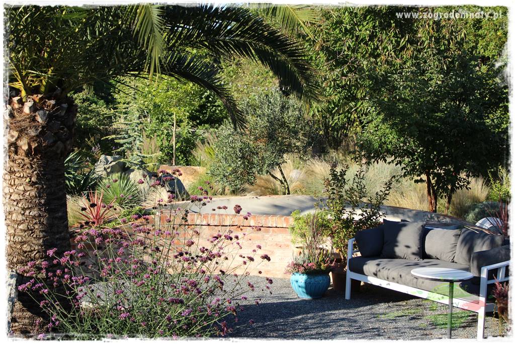 Egzotyczny ogród 45 Egzotyczny ogród 45