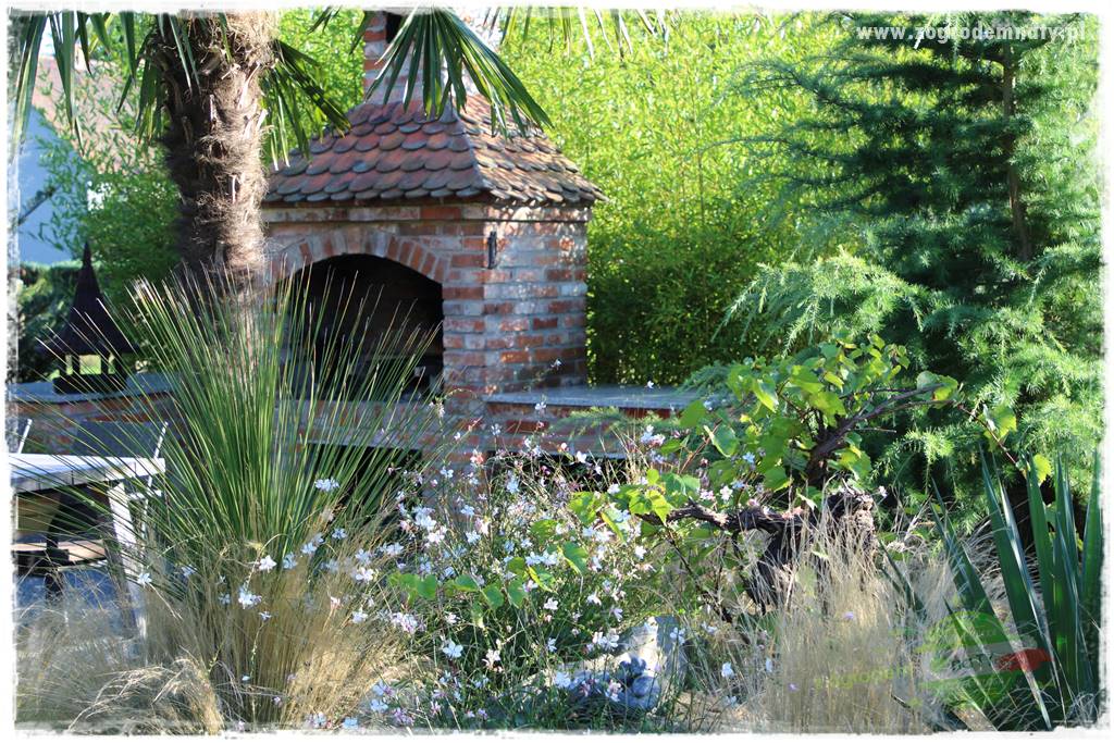 Egzotyczny ogród 46 Egzotyczny ogród 46