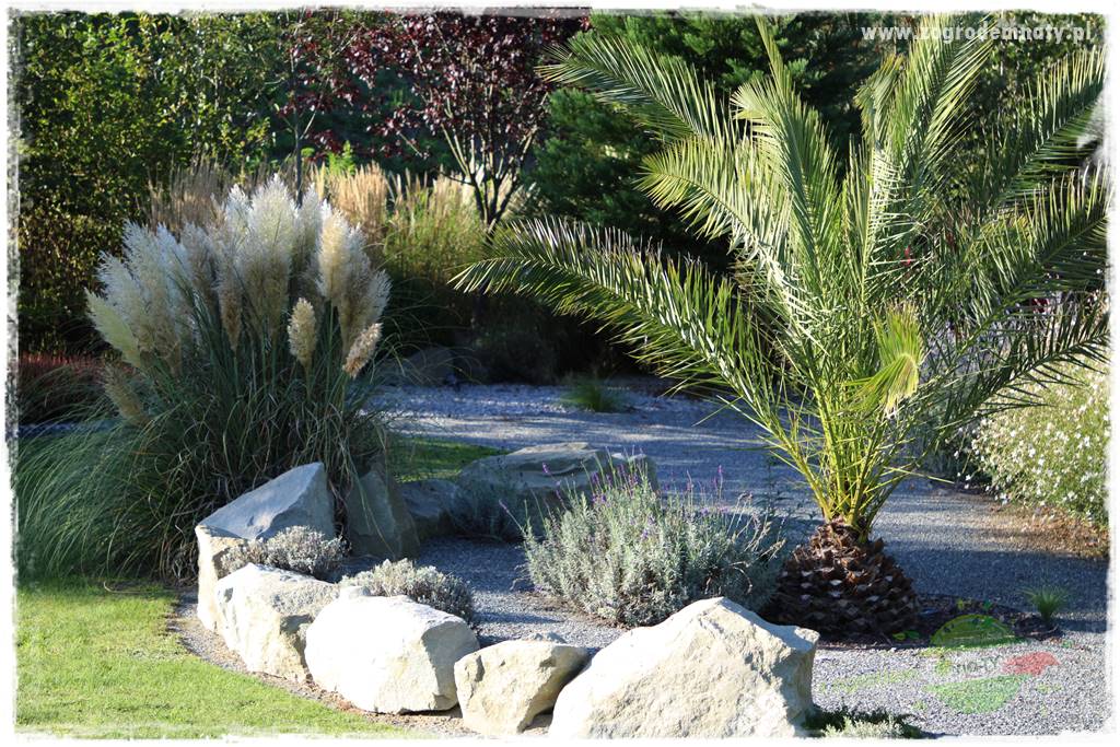 Egzotyczny ogród 47 Egzotyczny ogród 47