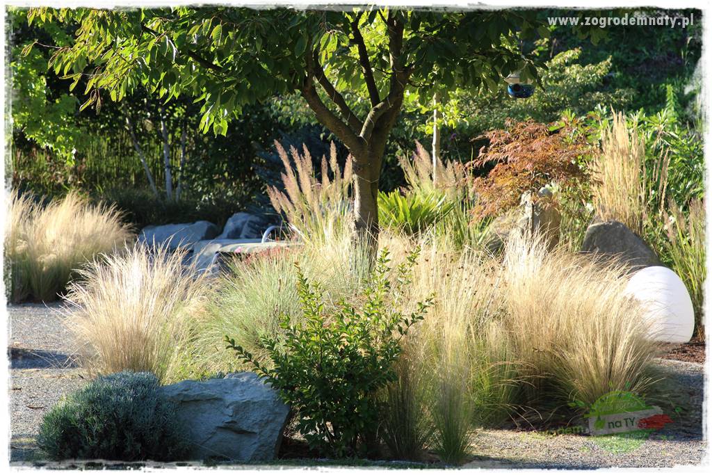 Egzotyczny ogród 48 Egzotyczny ogród 48