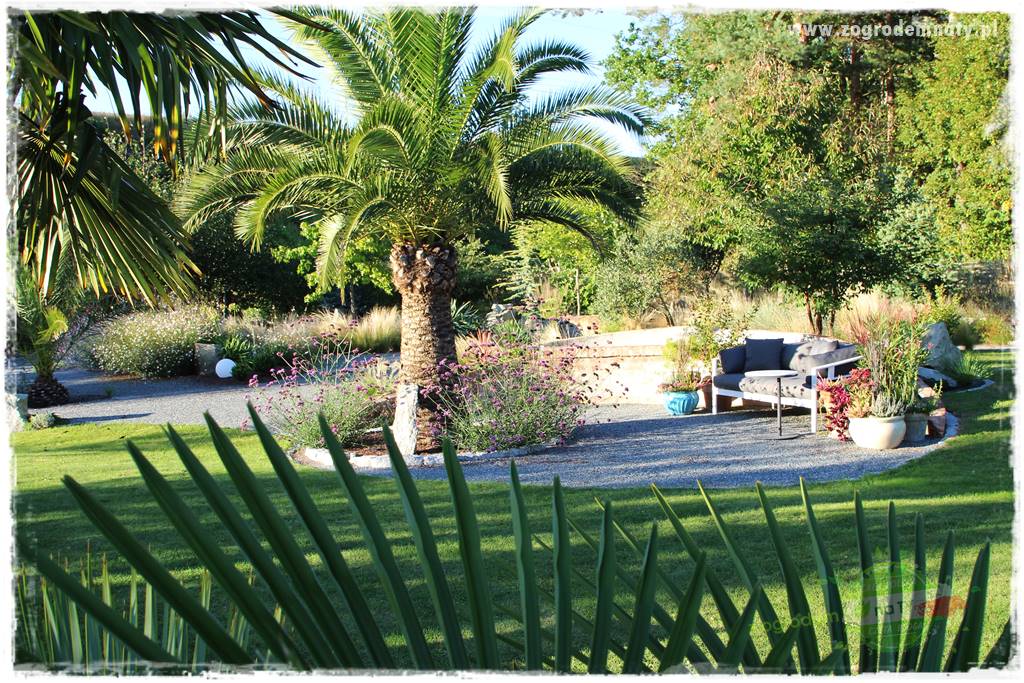 Egzotyczny ogród 50 Egzotyczny ogród 50