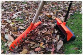 Jak sobie ułatwić grabienie liści 0