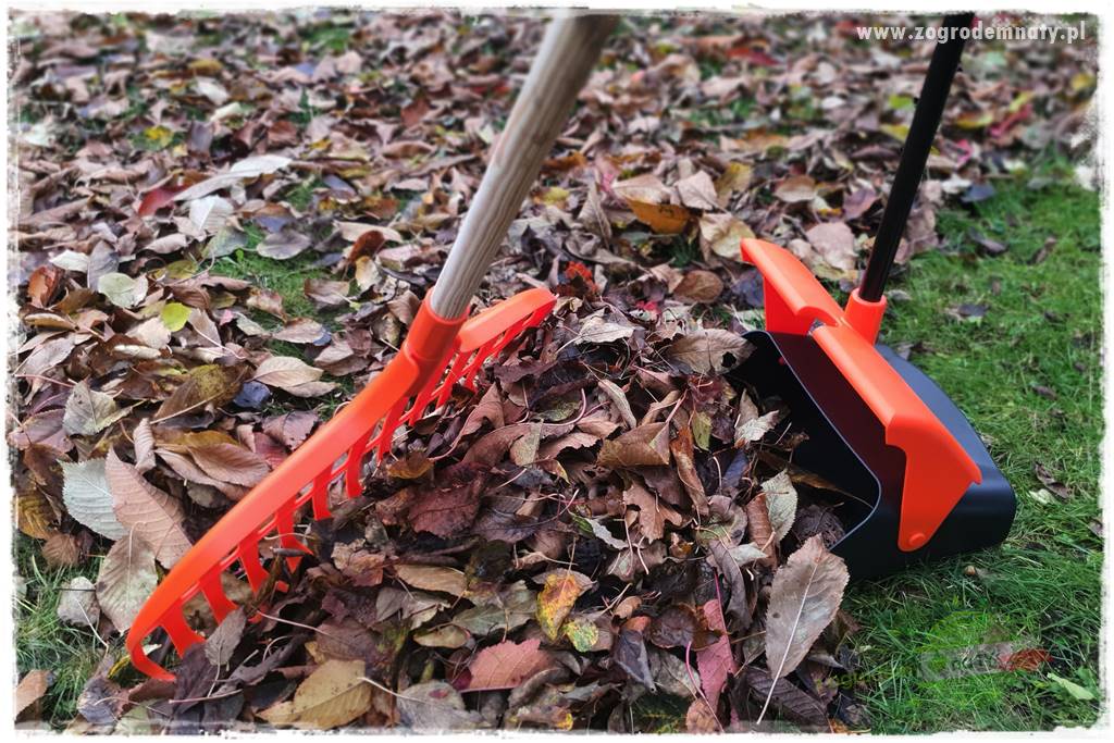 Jak sobie ułatwić grabienie liści 0