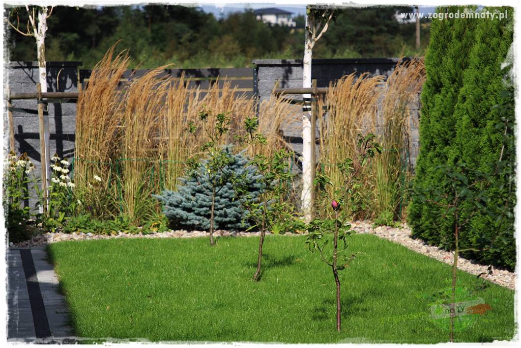 Jak sobie ułatwić grabienie liści 1