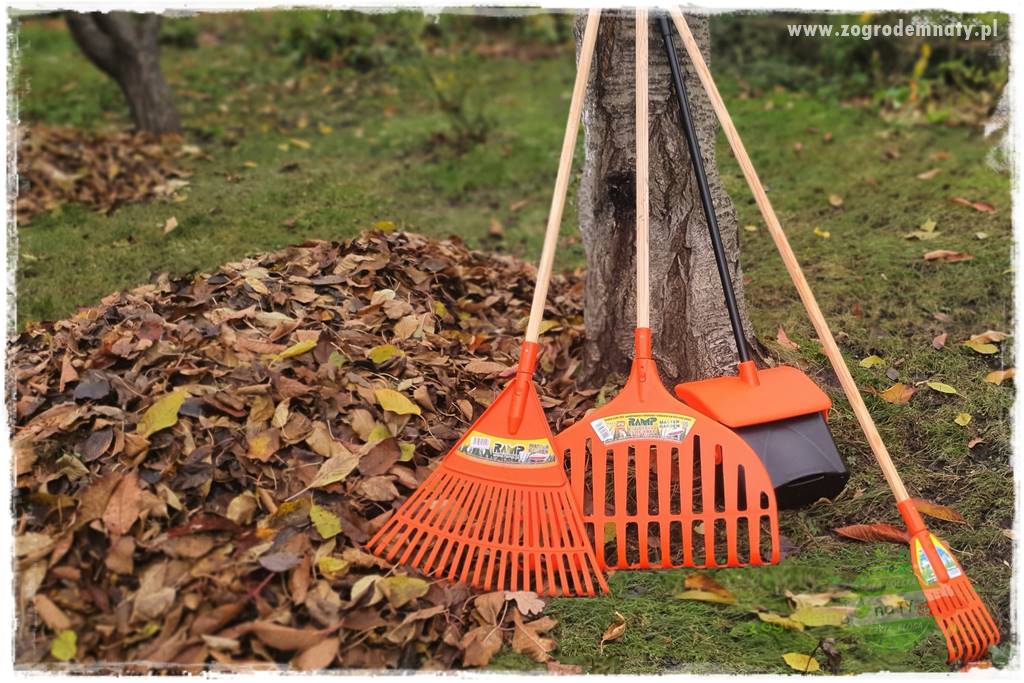 Jak sobie ułatwić grabienie liści 12 Jak sobie ułatwić grabienie liści 12