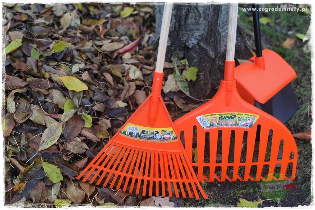 Jak sobie ułatwić grabienie liści 13 Jak sobie ułatwić grabienie liści 13
