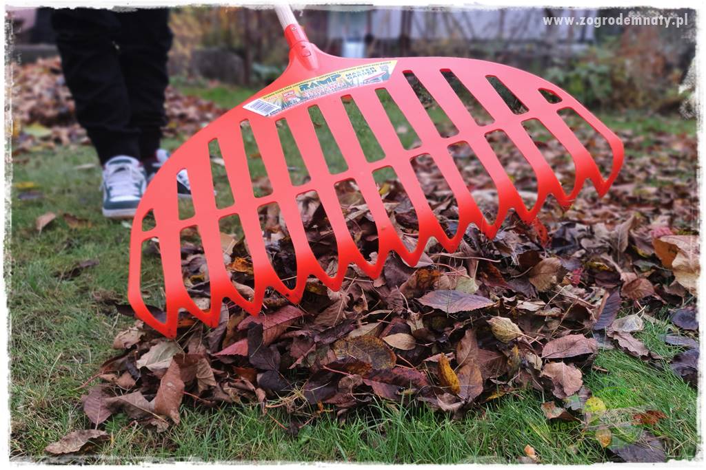 Jak sobie ułatwić grabienie liści 16 Jak sobie ułatwić grabienie liści 16