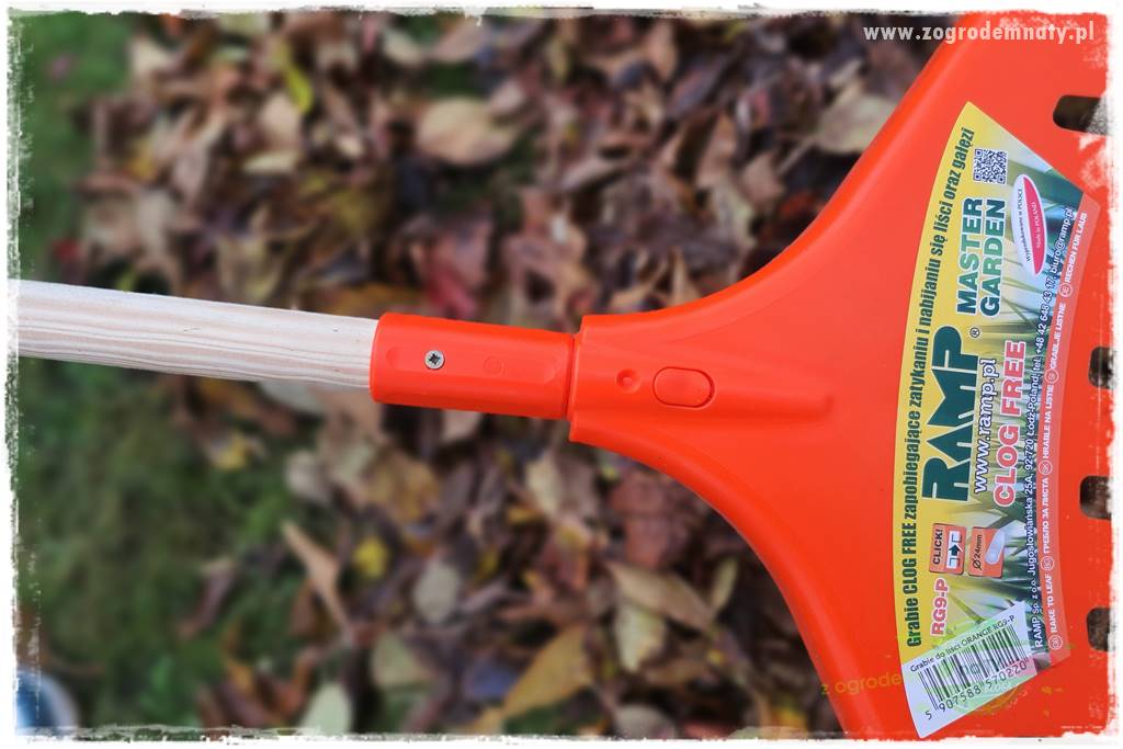 Jak sobie ułatwić grabienie liści 19