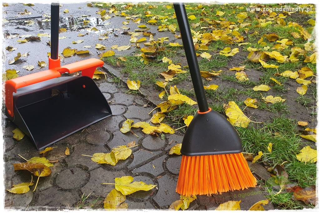 Jak sobie ułatwić grabienie liści 21
