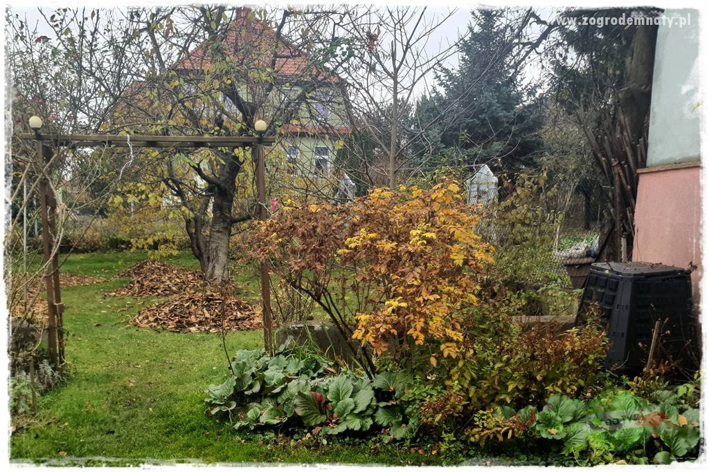 Jak sobie ułatwić grabienie liści 27