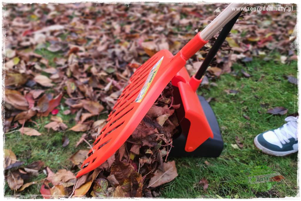 Jak sobie ułatwić grabienie liści 29 Jak sobie ułatwić grabienie liści 29