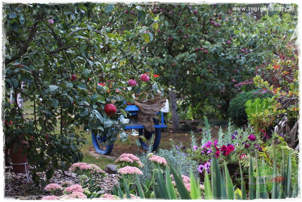 Jak sobie ułatwić grabienie liści 3 Jak sobie ułatwić grabienie liści 3