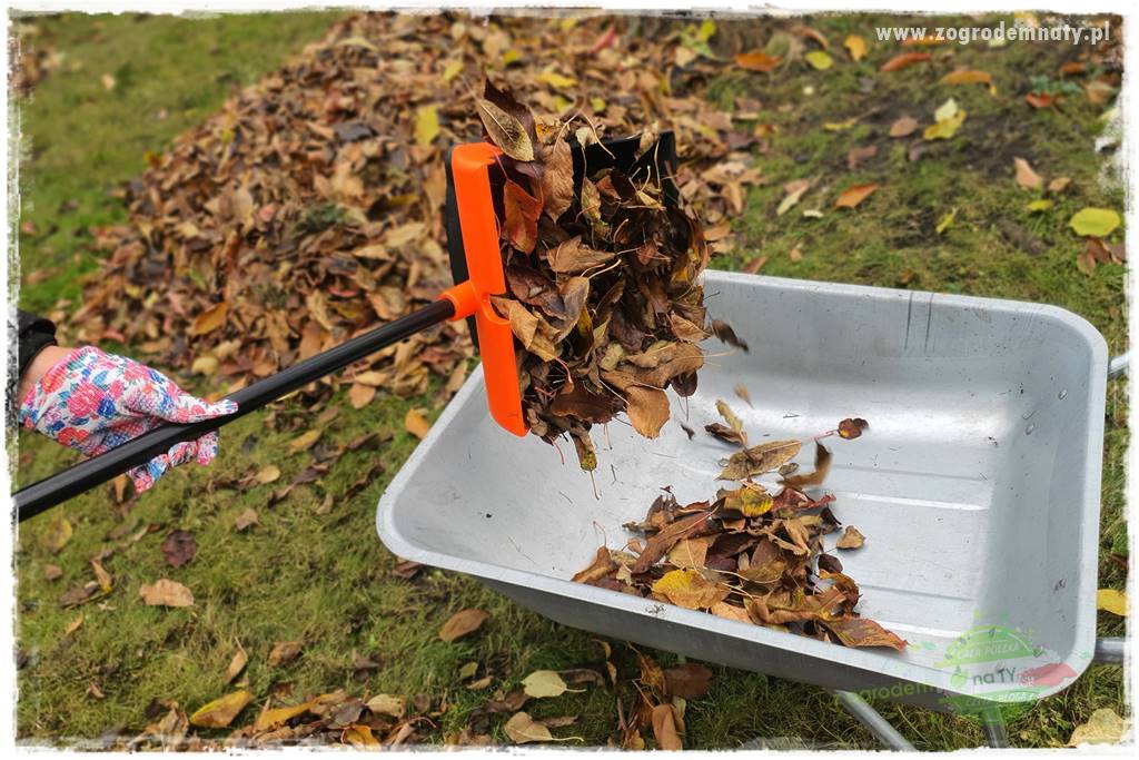 Jak sobie ułatwić grabienie liści 30 Jak sobie ułatwić grabienie liści 30