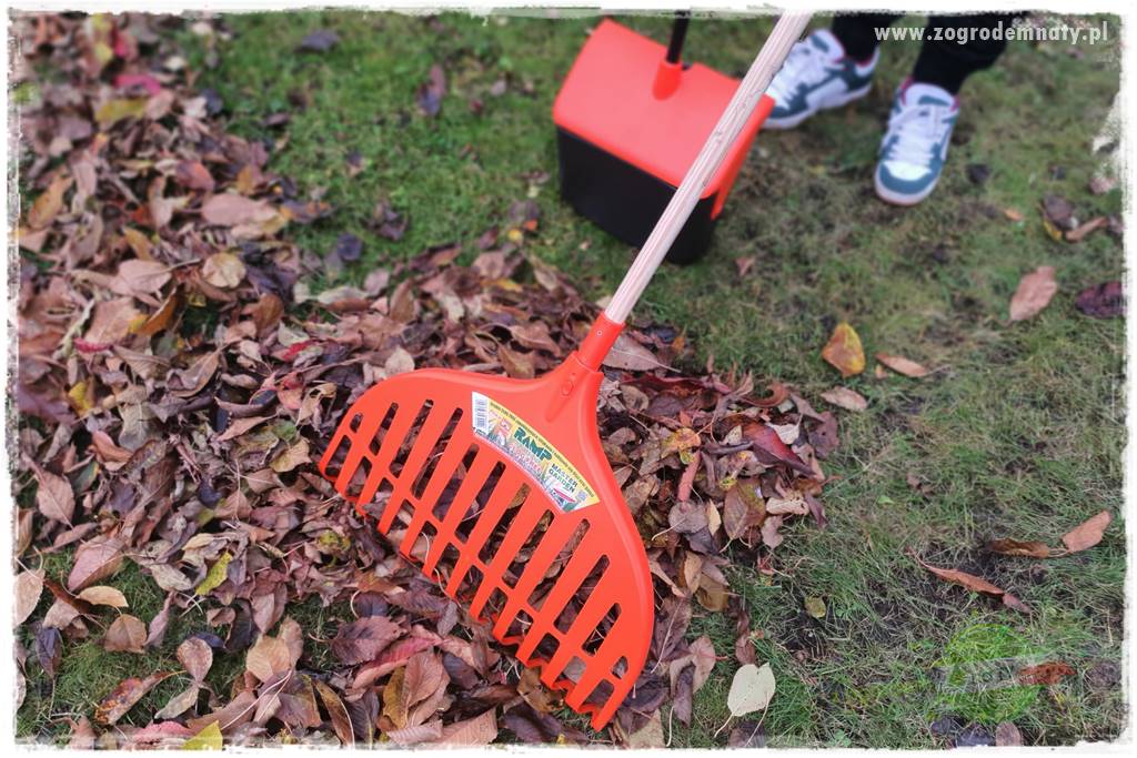Jak sobie ułatwić grabienie liści 32