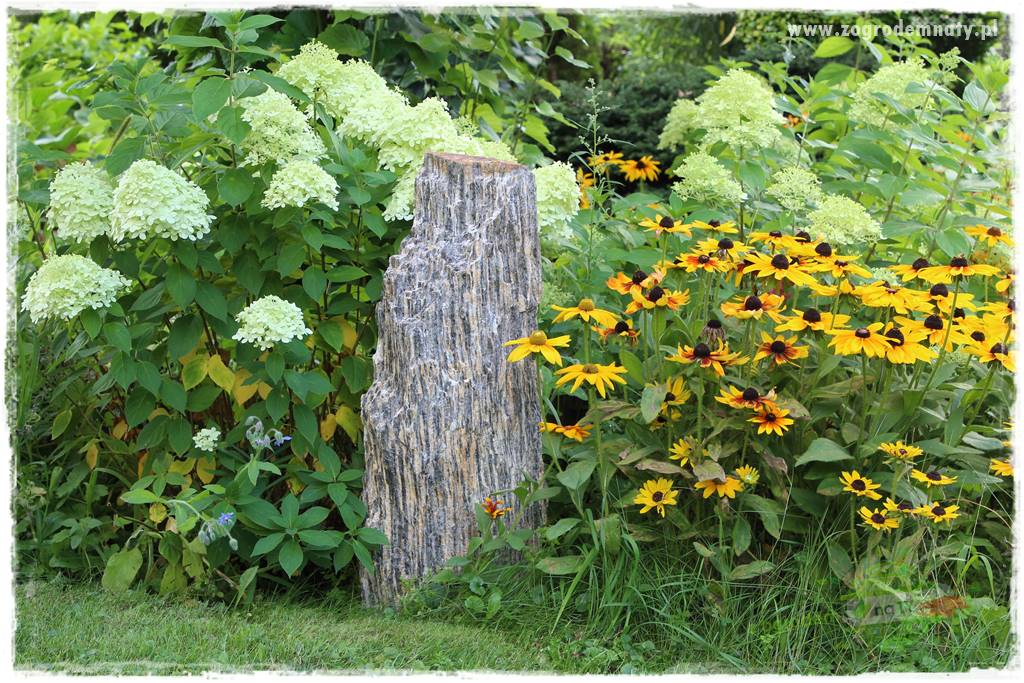 Jak wykorzystać gnejs w ogrodzie 12