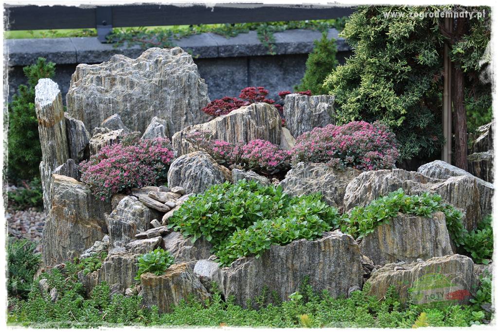 Jak wykorzystać gnejs w ogrodzie 31 Jak wykorzystać gnejs w ogrodzie 31