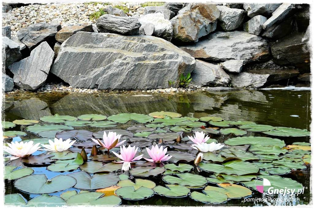 Jak wykorzystać gnejs w ogrodzie 43 Jak wykorzystać gnejs w ogrodzie 43