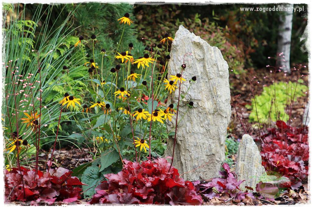 Jak wykorzystać gnejs w ogrodzie 51 Jak wykorzystać gnejs w ogrodzie 51