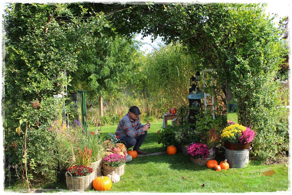 Jesienne dekoracje do ogrodu 200