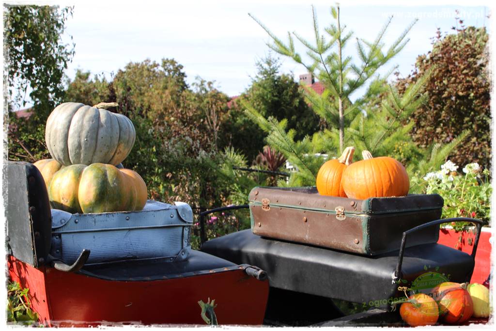Jesienne dekoracje do ogrodu 22