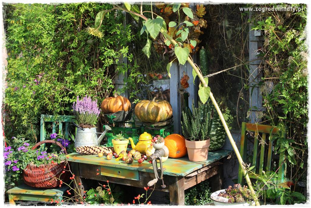 Jesienne dekoracje do ogrodu 3