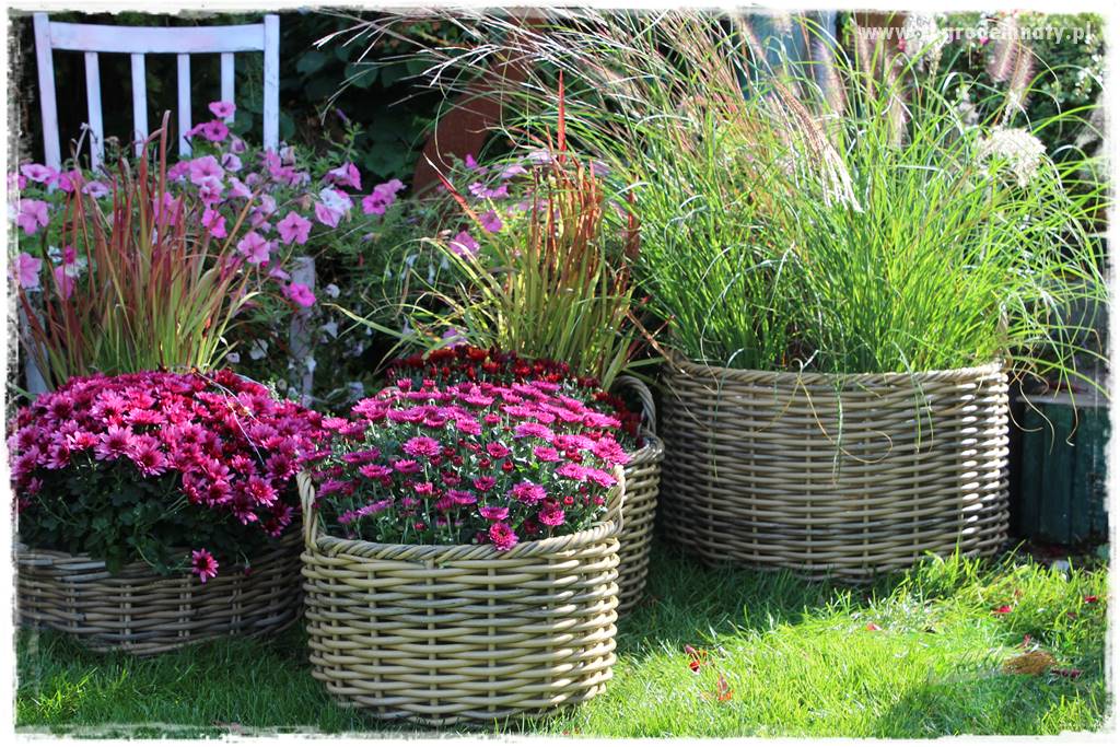 Jesienne dekoracje do ogrodu 402