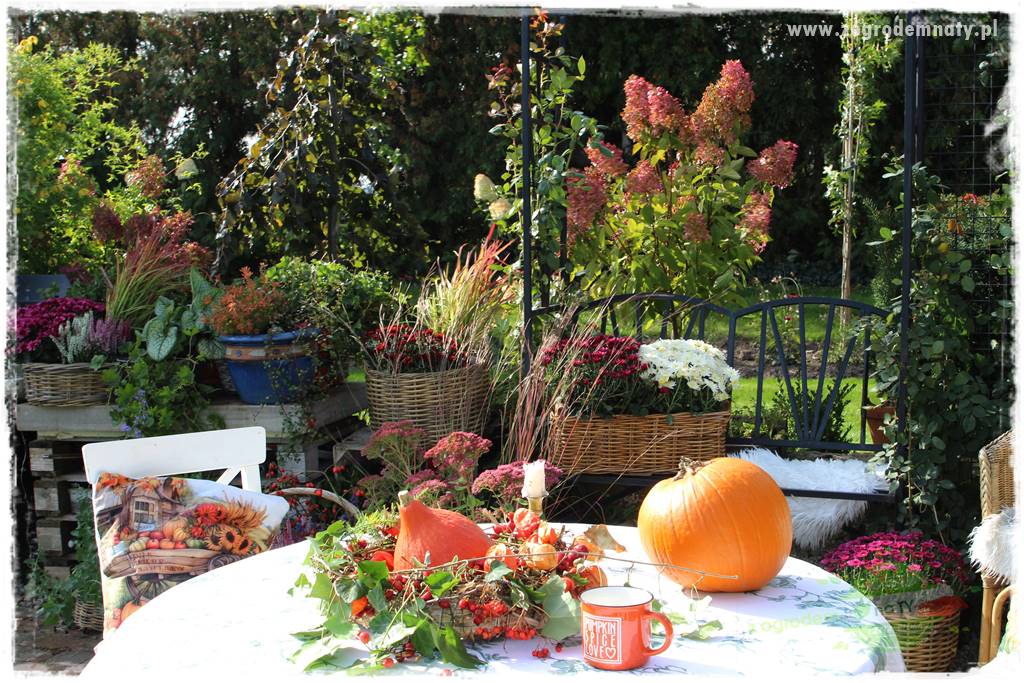 Jesienne dekoracje do ogrodu 403