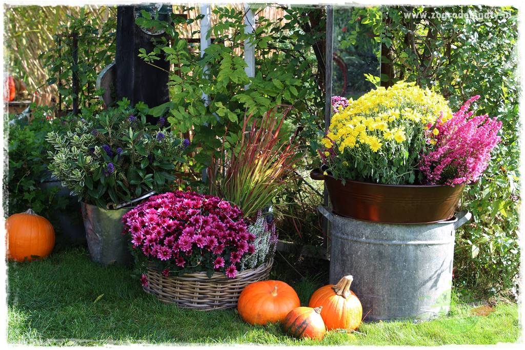 Jesienne dekoracje do ogrodu 409