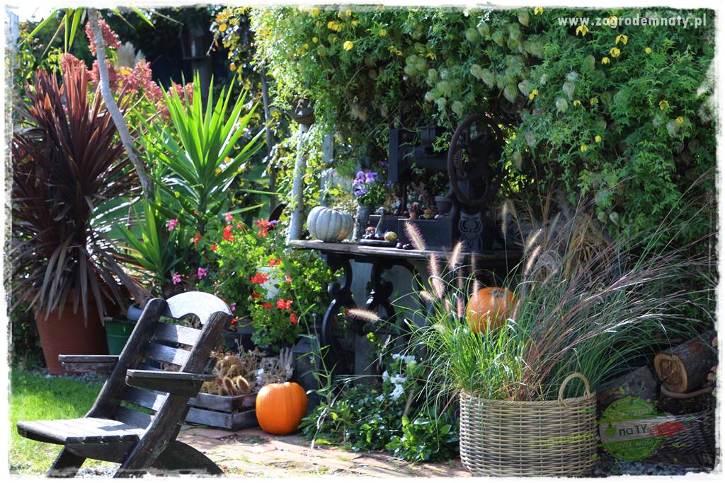 Jesienne dekoracje do ogrodu 41