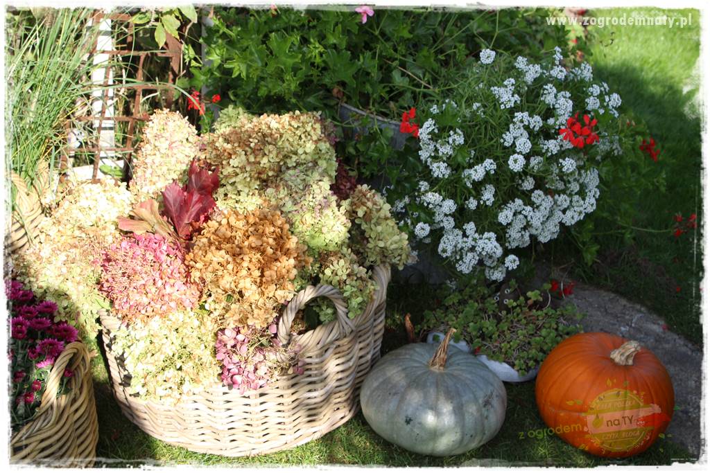 Jesienne dekoracje do ogrodu 413