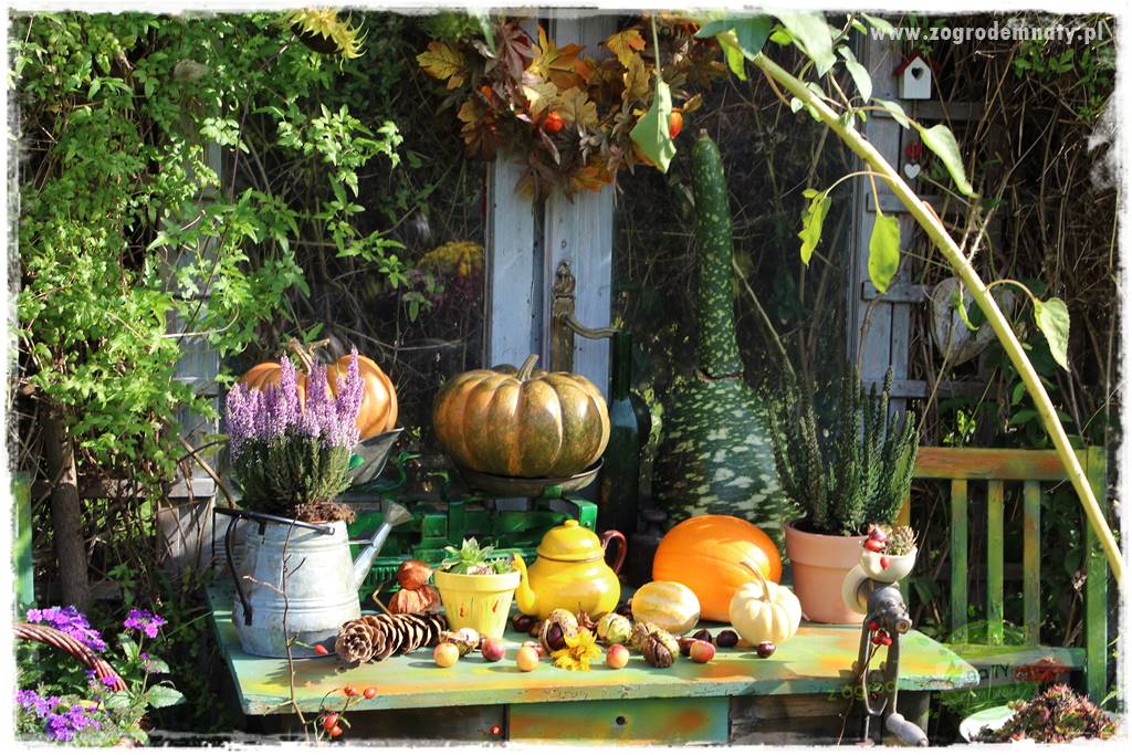 Jesienne dekoracje do ogrodu 417