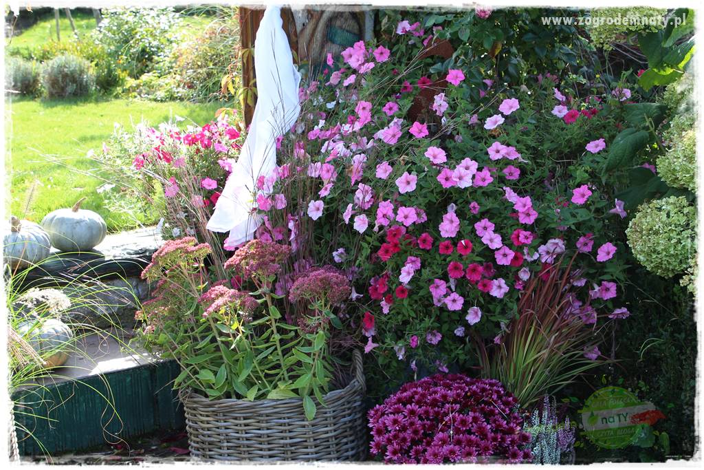 Jesienne dekoracje do ogrodu 418