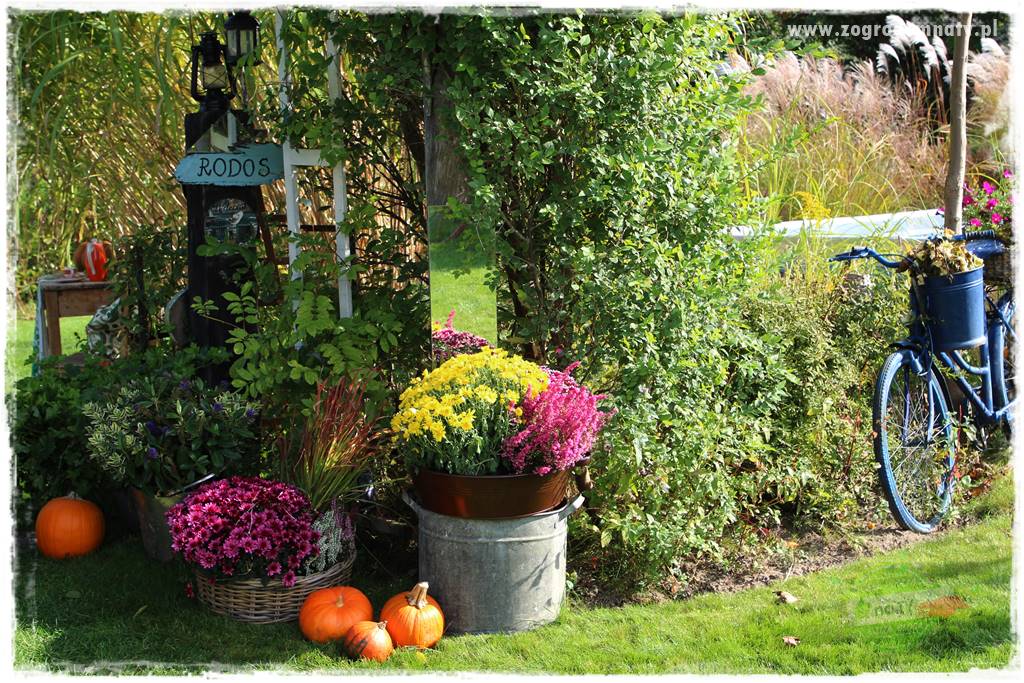 Jesienne dekoracje do ogrodu 419