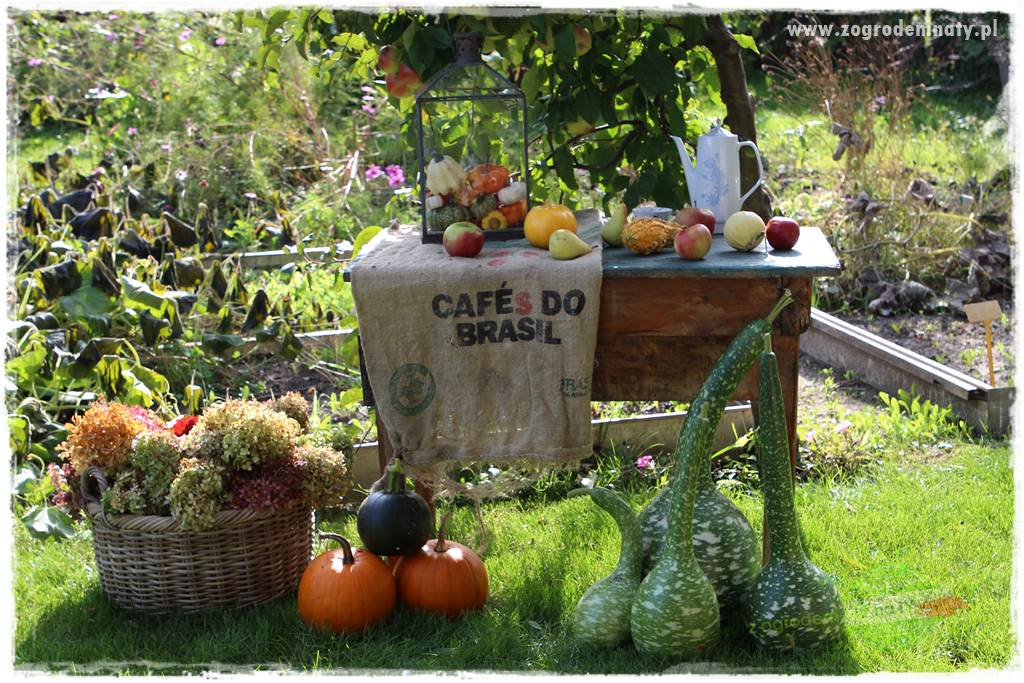 Jesienne dekoracje do ogrodu 420