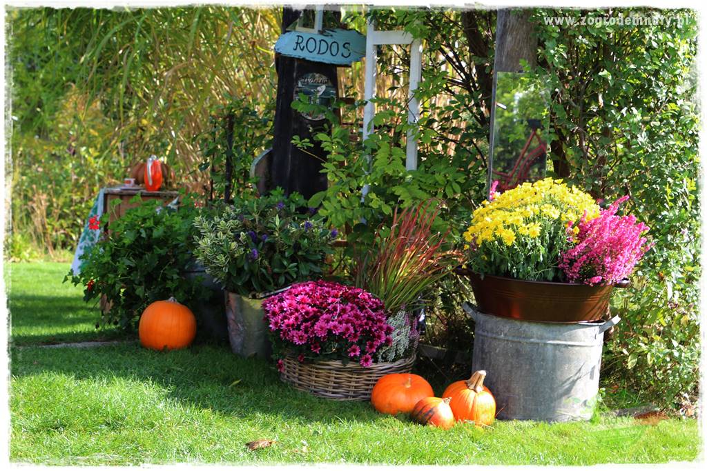 Jesienne dekoracje do ogrodu 423