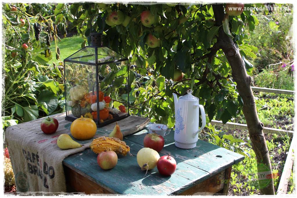 Jesienne dekoracje do ogrodu 427