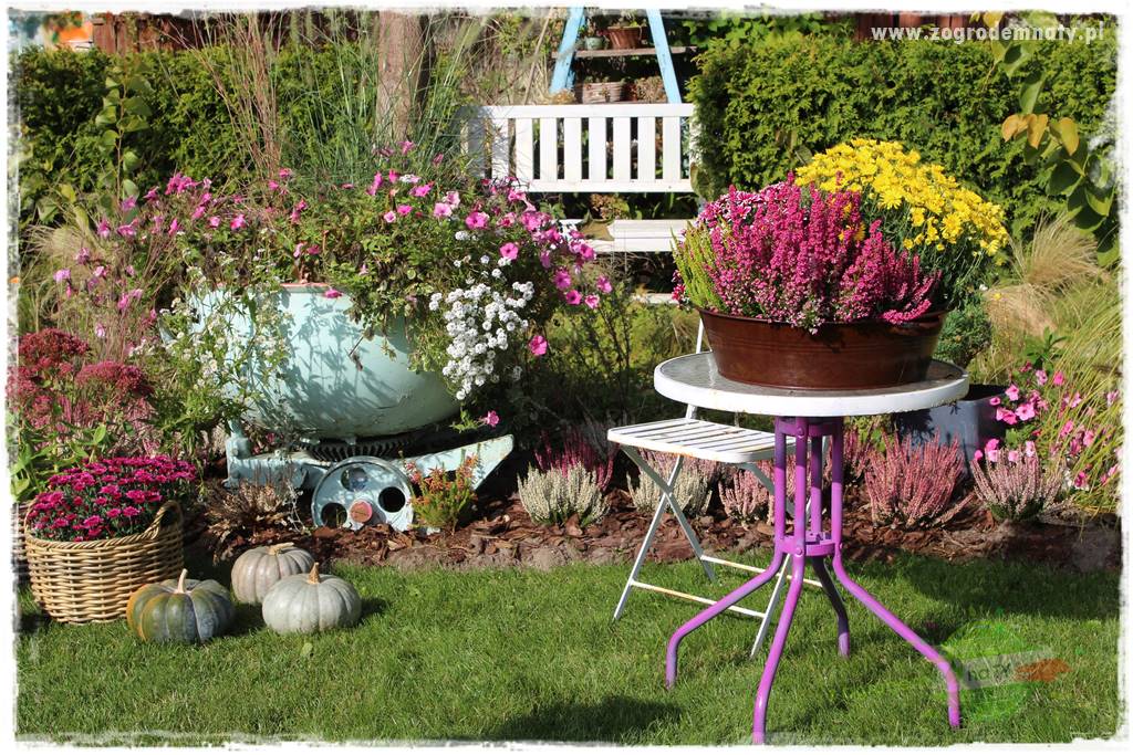 Jesienne dekoracje do ogrodu 429