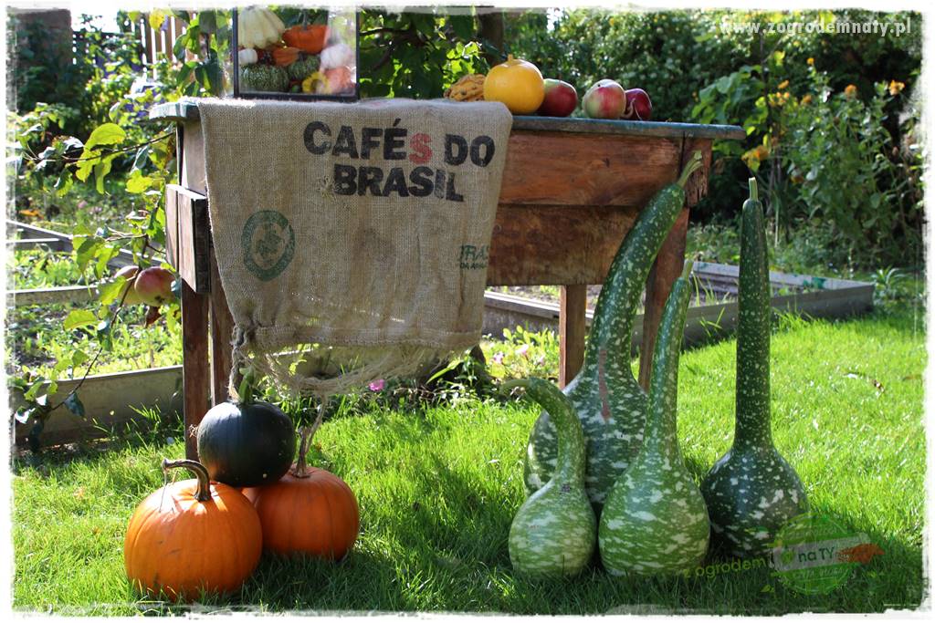 Jesienne dekoracje do ogrodu 431