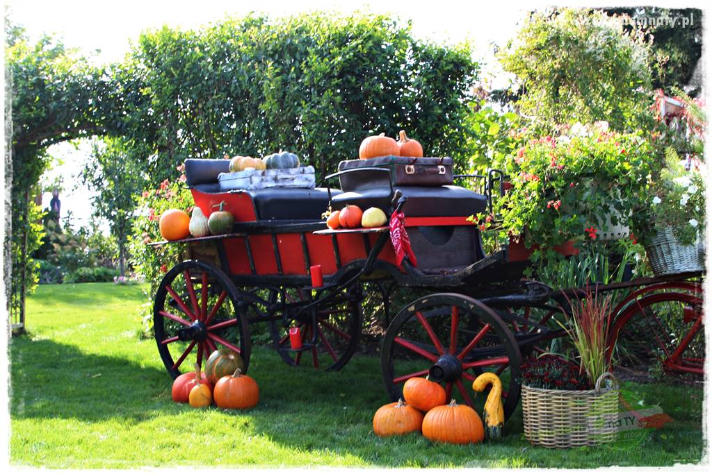 Jesienne dekoracje do ogrodu 46