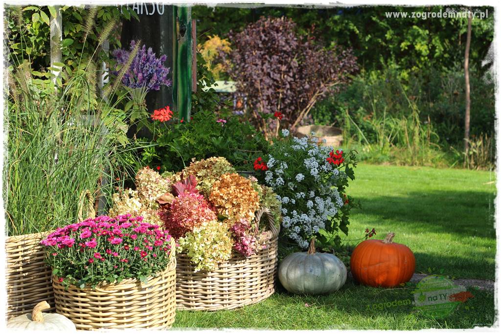 Jesienne dekoracje do ogrodu 47