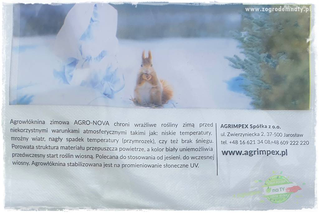 jak przezimować małpie drzewo 19 jak przezimować małpie drzewo 19