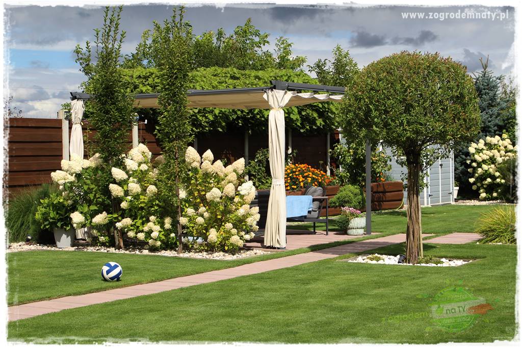letni ogród 4