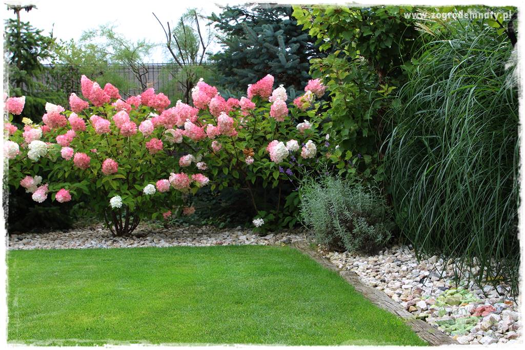 letni ogród 414