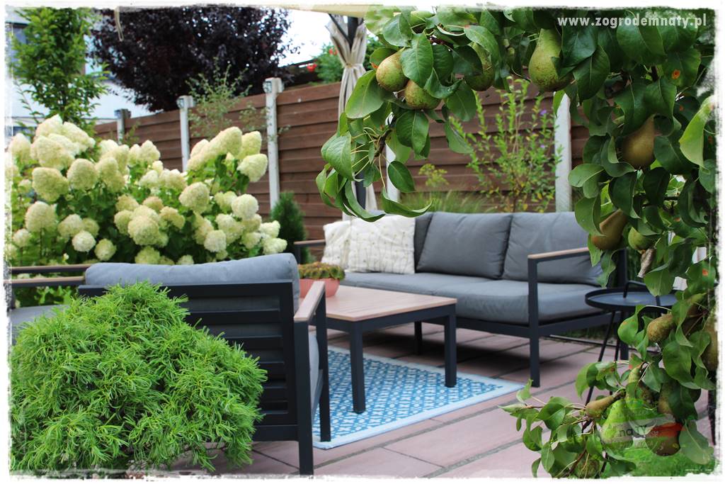 letni ogród 419